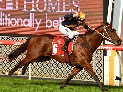 “He would have won!”: Co-owner Rupert Legh on Masked Crusade ... Image 3